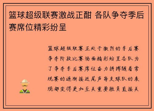 篮球超级联赛激战正酣 各队争夺季后赛席位精彩纷呈