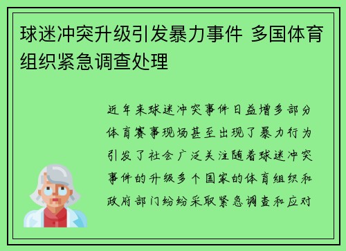 球迷冲突升级引发暴力事件 多国体育组织紧急调查处理